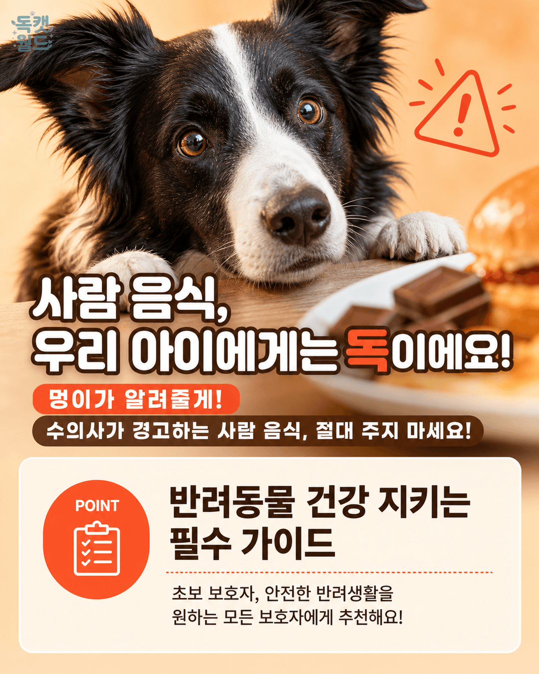 사람 음식 중 반려동물에게 줄 수 있는 것과 없는 것 — 완벽 비교표