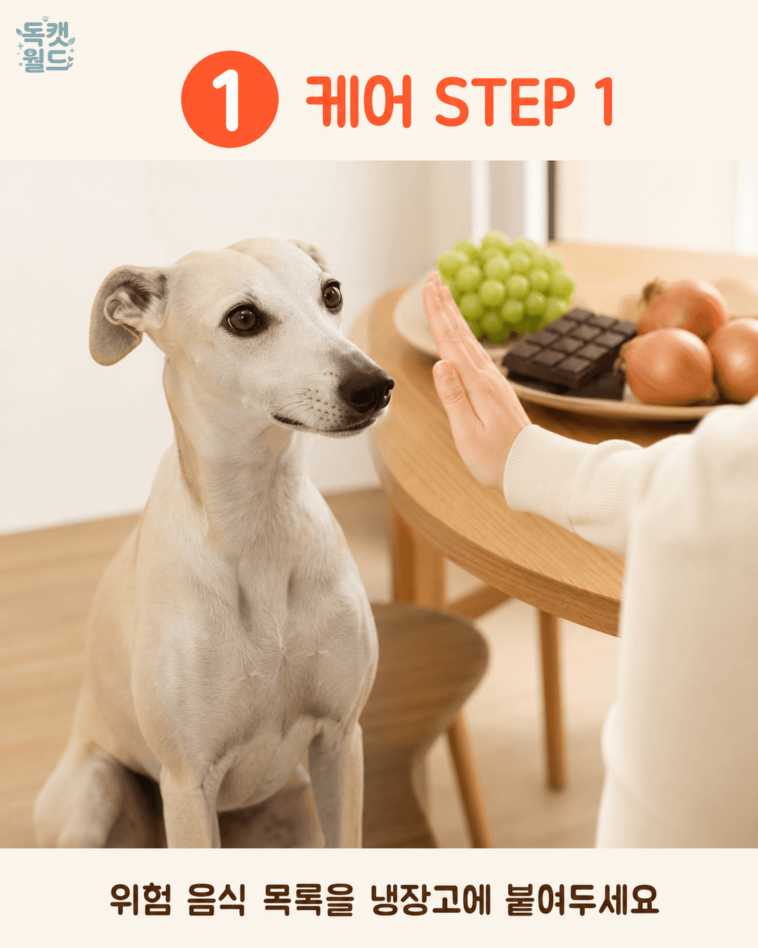 steps 1