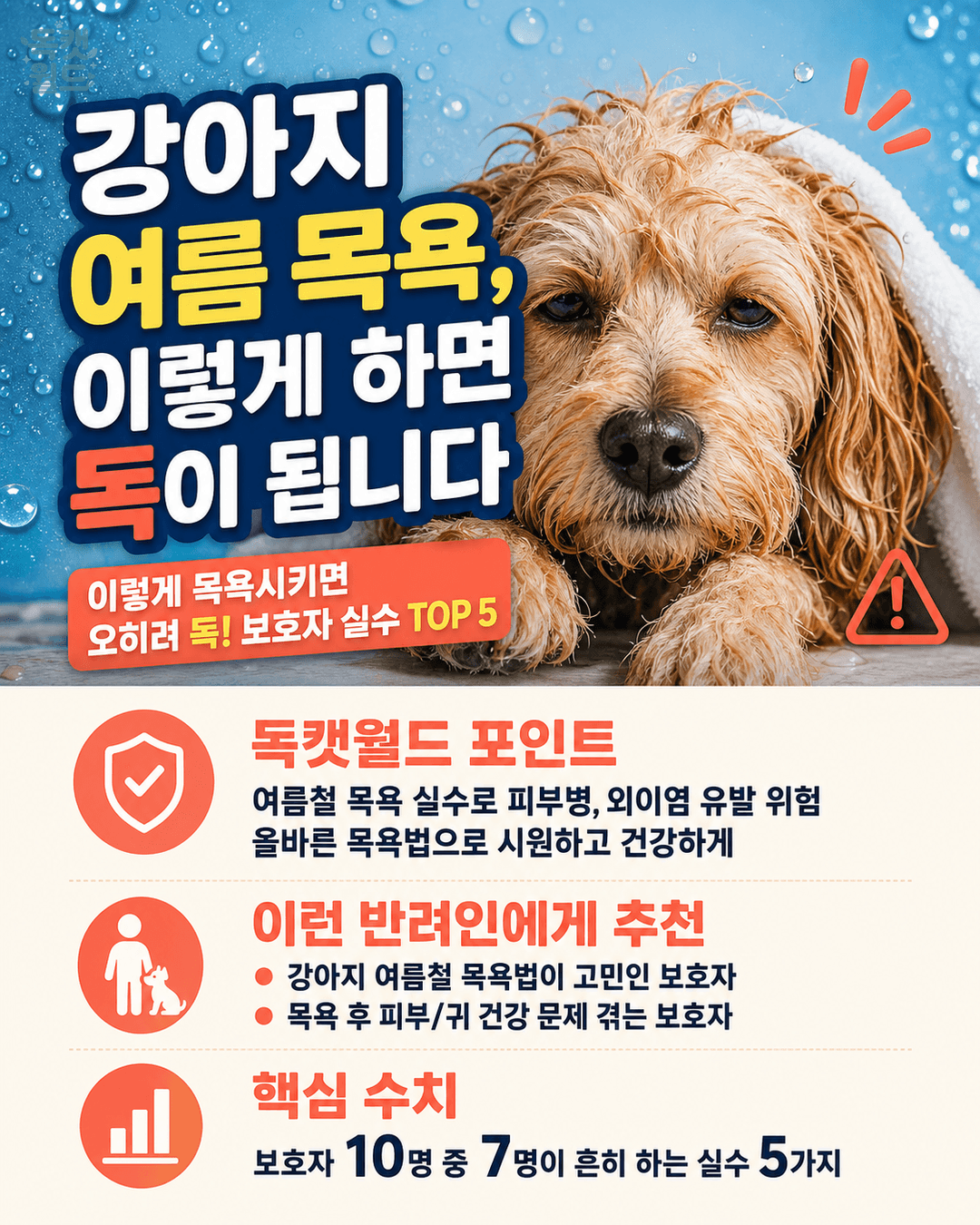 강아지 여름 목욕, 이렇게 하면 독이 됩니다 — 보호자 실수 TOP 5와 올바른 방법