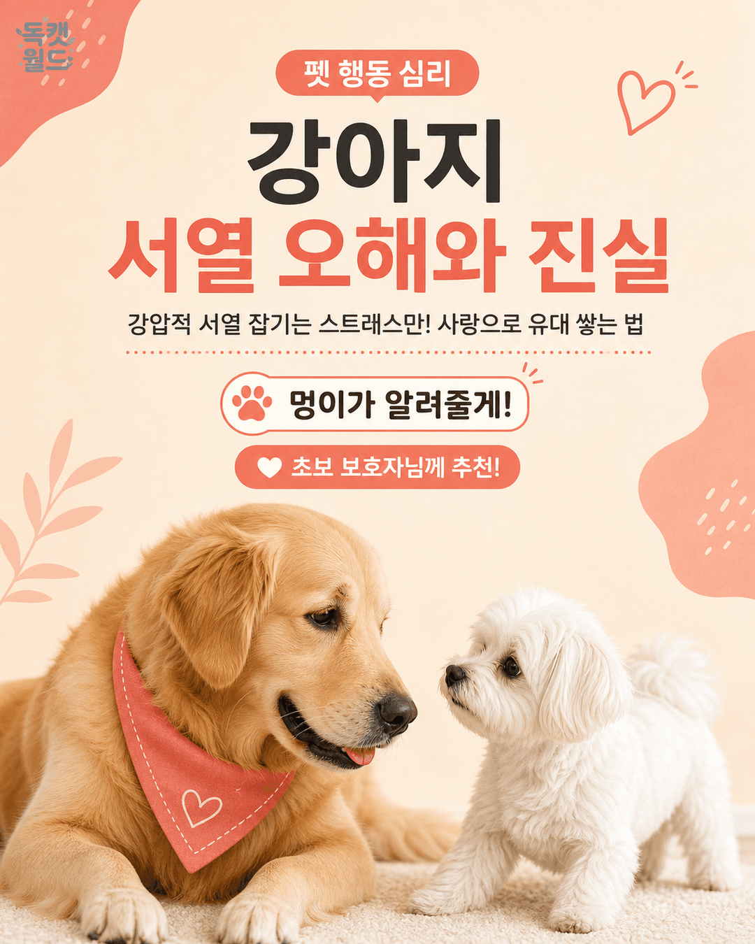 우리 강아지가 생각하는 가족 서열, 어떻게 달라질까?