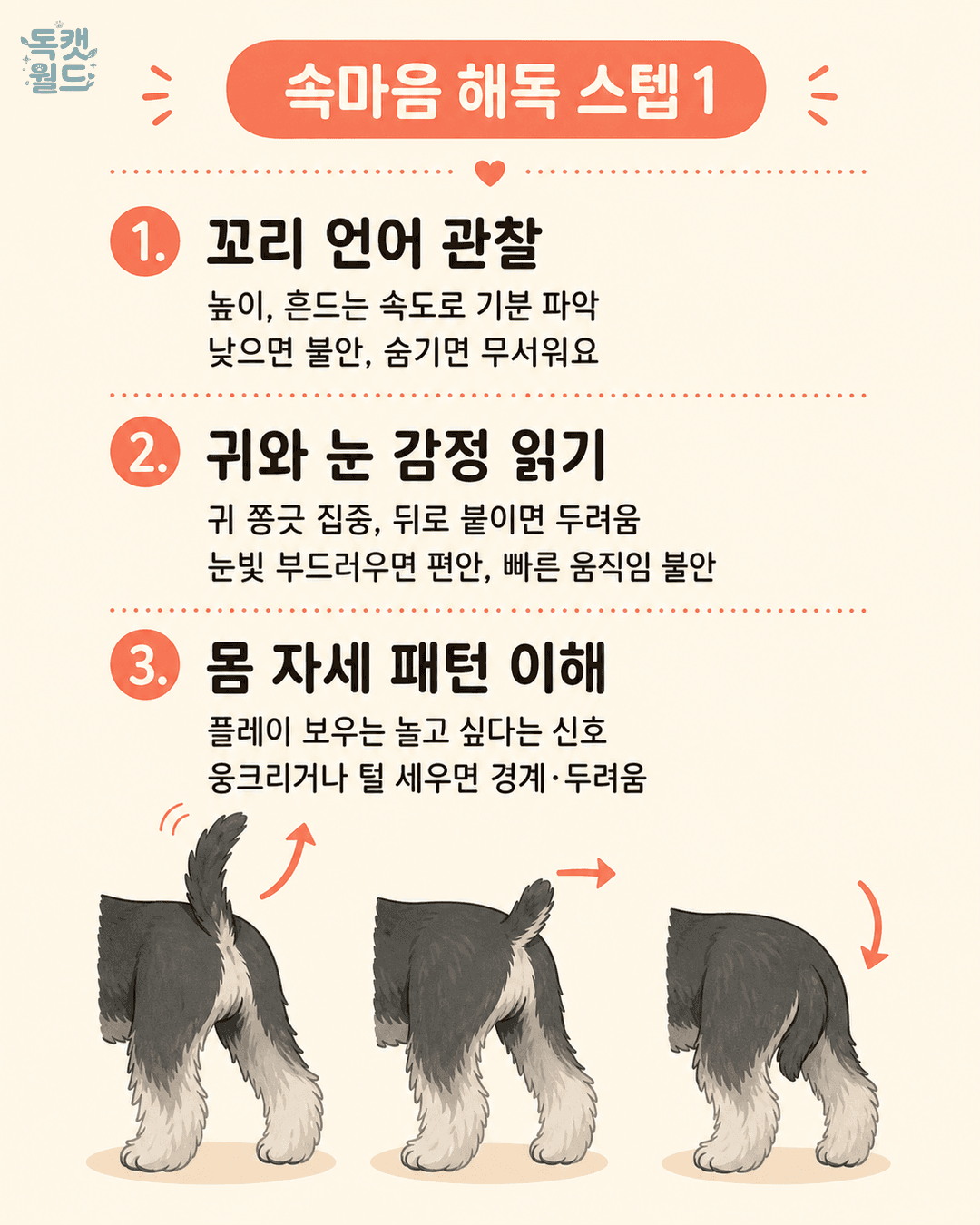 steps 1