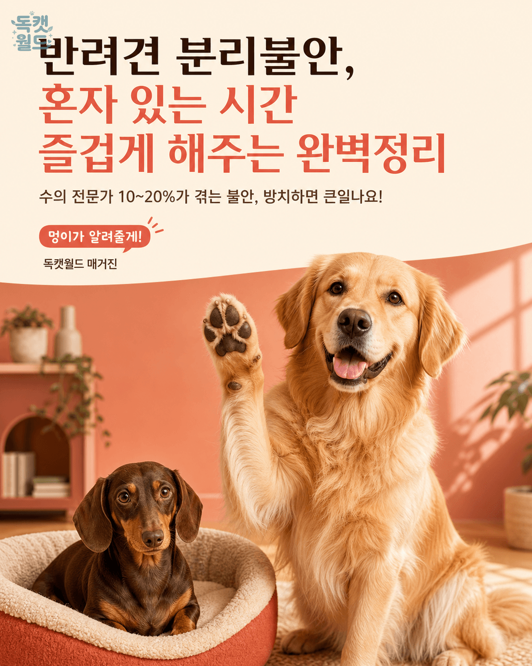 반려견 분리불안, 혼자 있는 시간을 즐겁게!