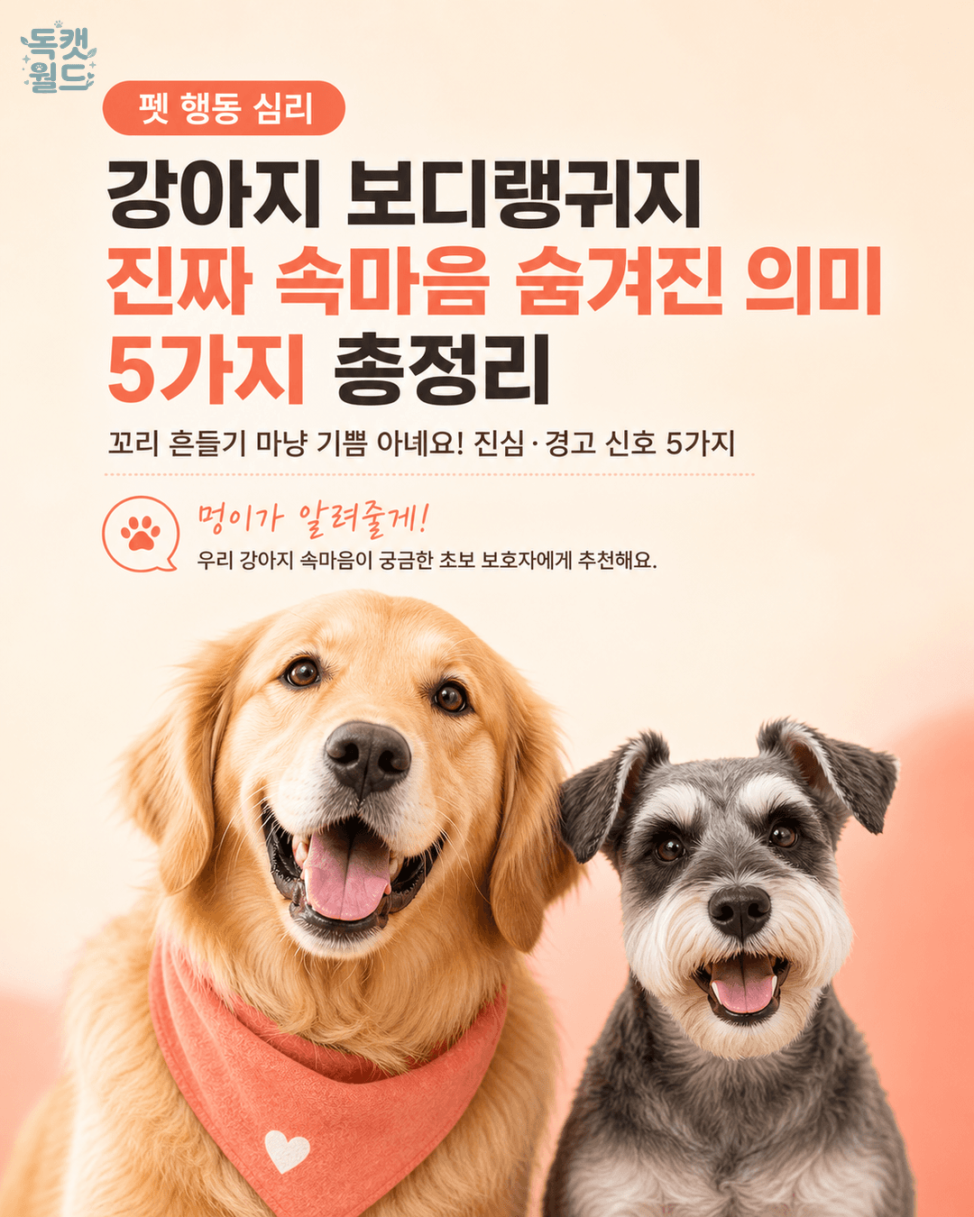 강아지 보디랭귀지 해독: 진짜 속마음은?