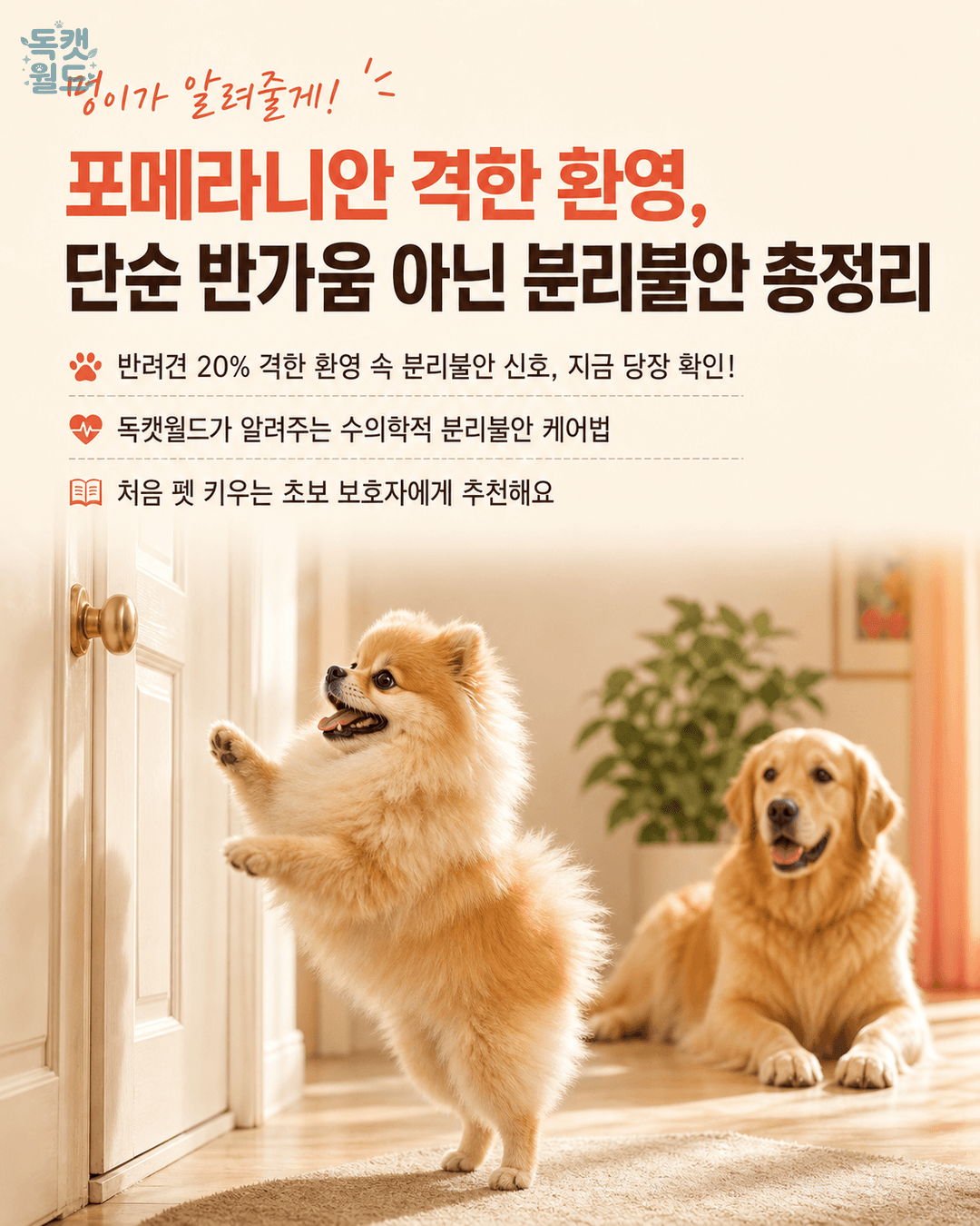 댕댕이의 격한 환영, 혹시 분리불안 신호일까요?