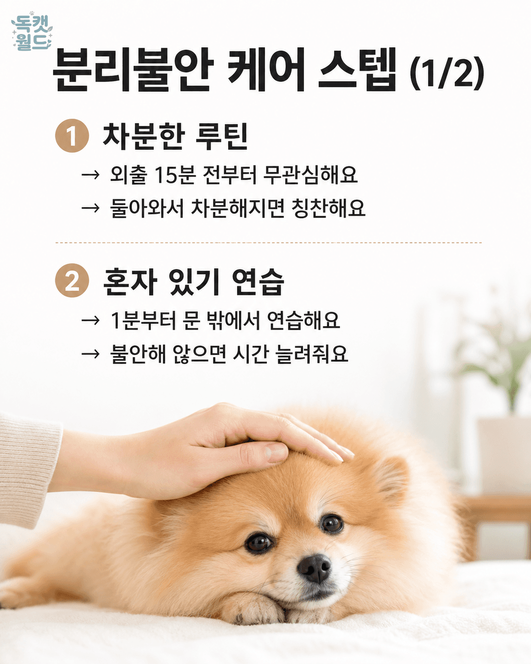 steps 1