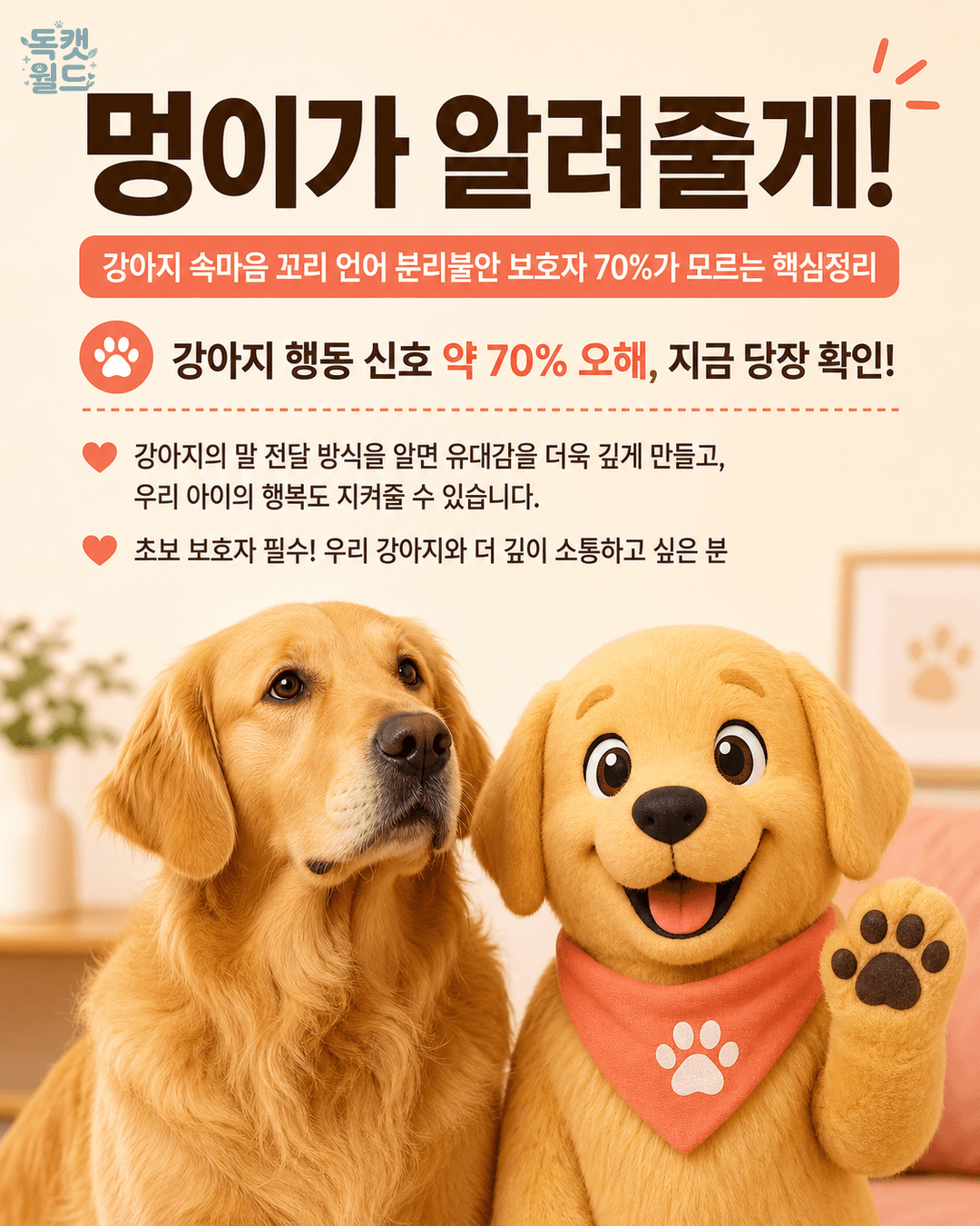 강아지 속마음 해석: 분리불안부터 꼬리 언어까지