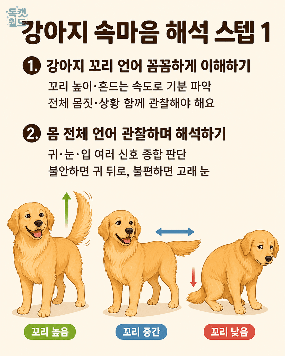 steps 1