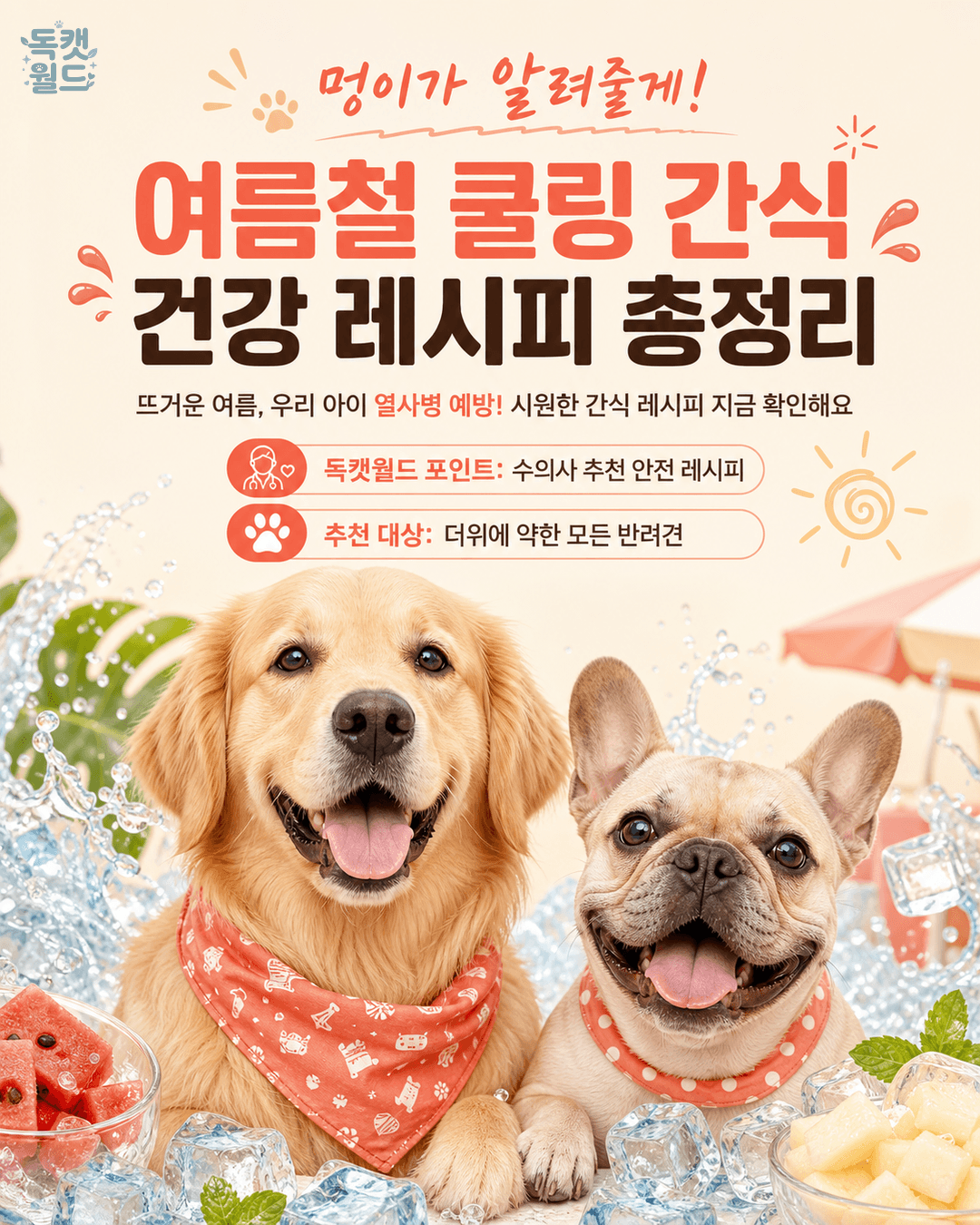 더운 여름, 우리 아이 수분 섭취 UP! 쿨링 간식 레시피