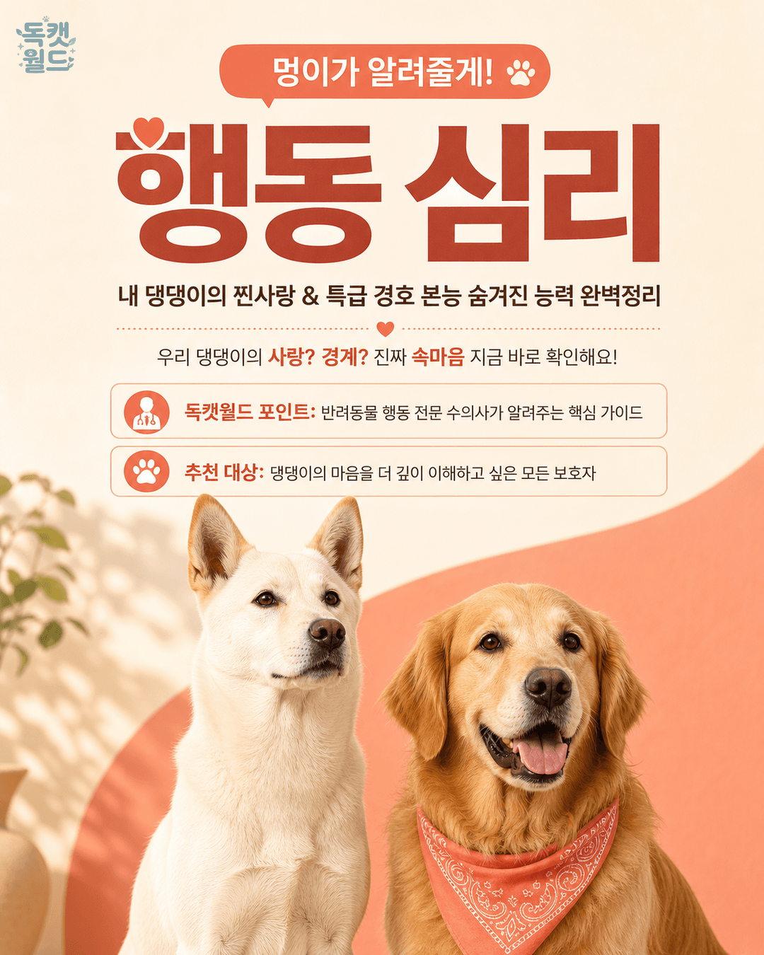 댕댕이의 찐사랑과 든든 경호, 비결은?