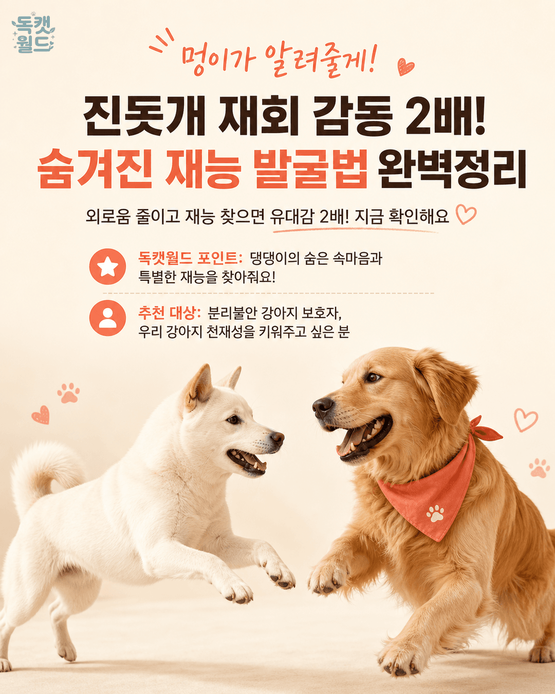 내 댕댕이, 감동 환영 & 숨겨진 재능 발굴법