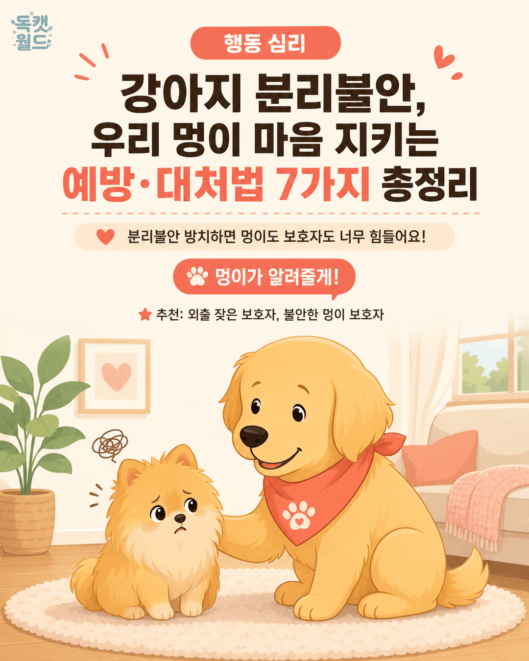 혼자 남겨진 강아지, 혹시 분리불안? 예방 및 대처법