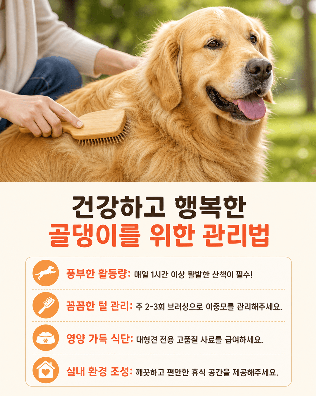 건강하고 행복한 골댕이를 위한 관리법