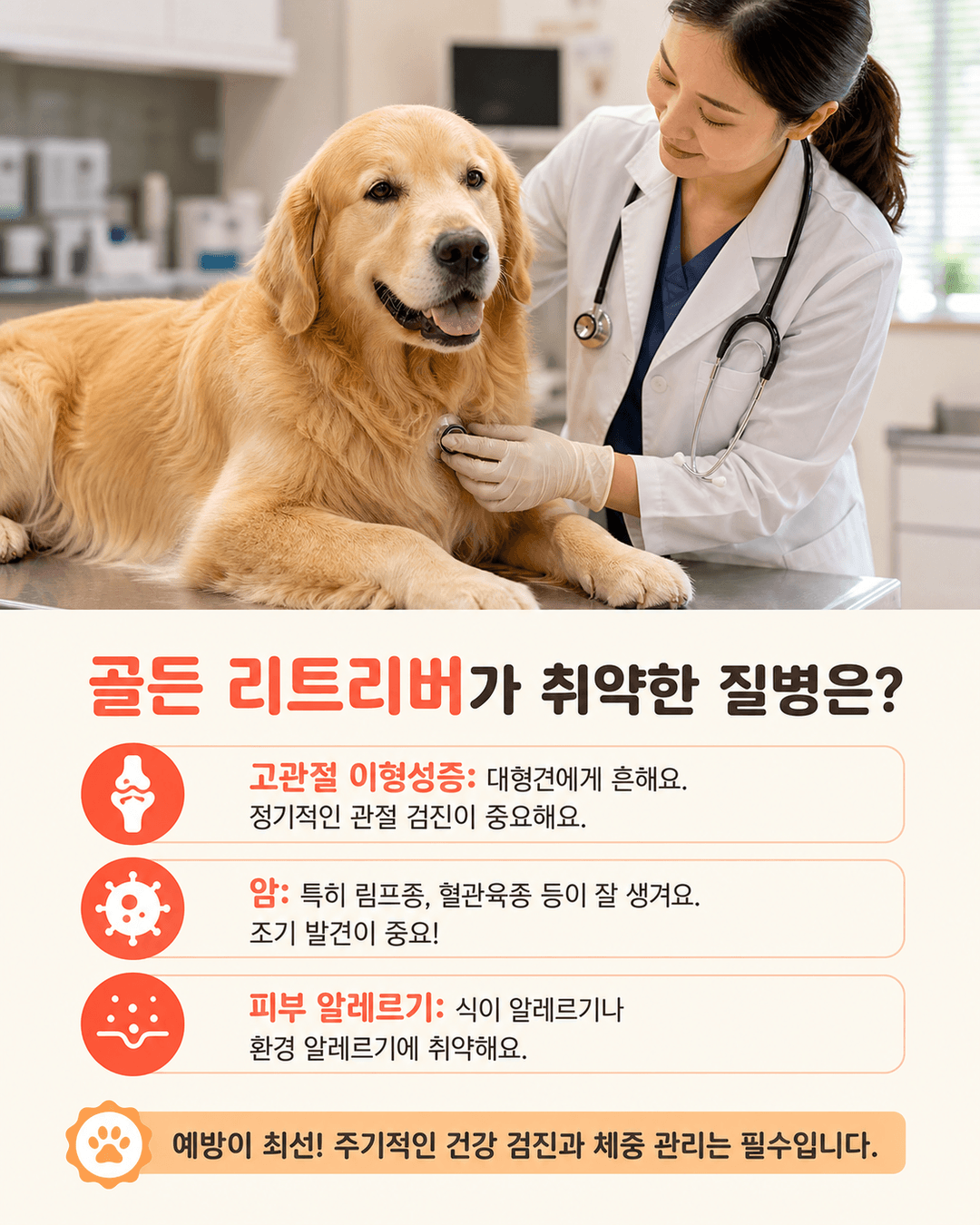 골든 리트리버가 취약한 질병은?