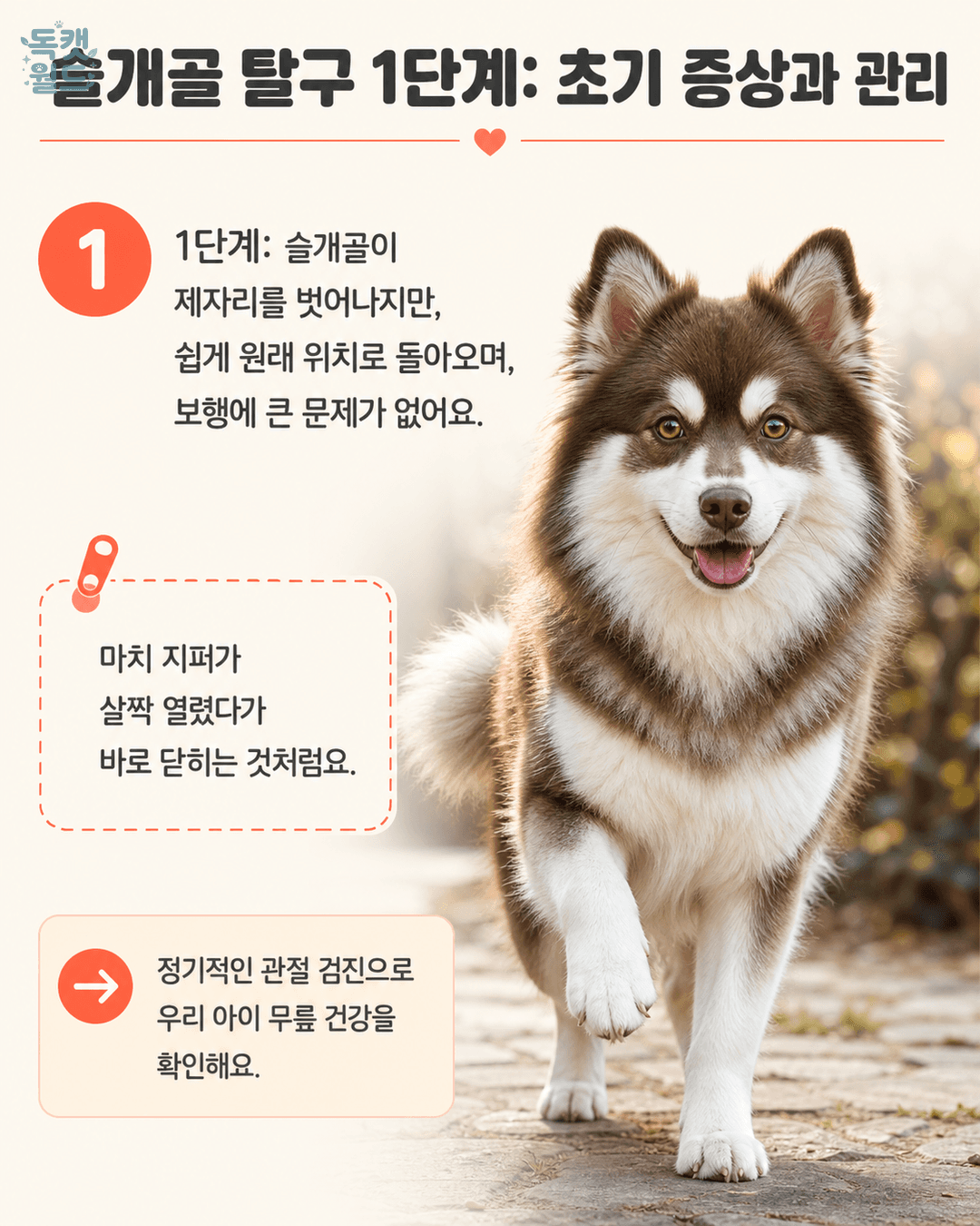 steps 1
