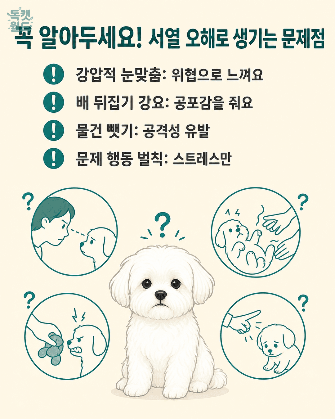 basic info