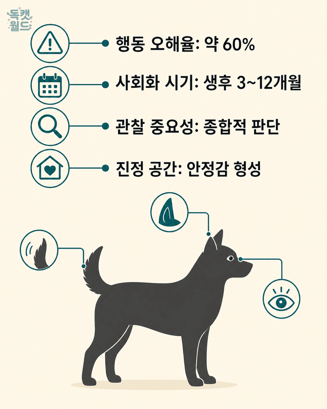 basic info