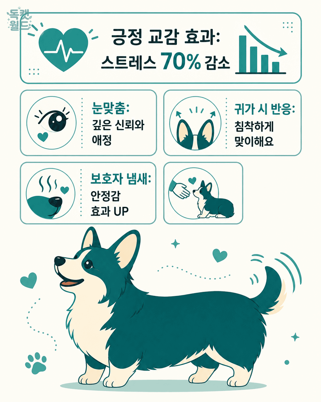 basic info