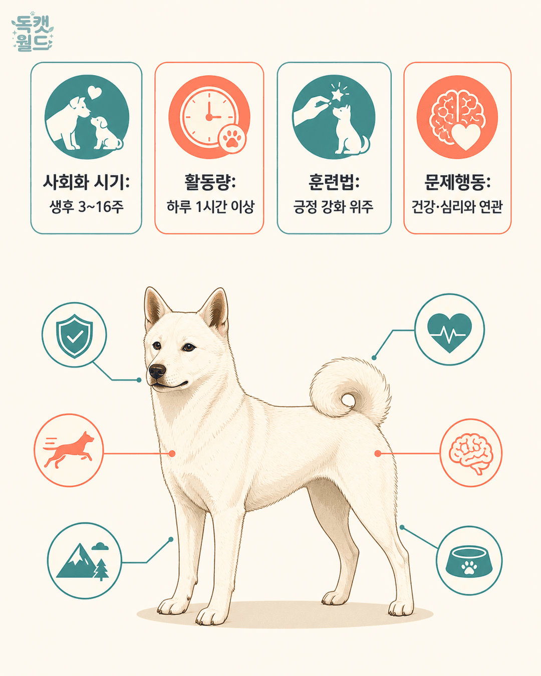 basic info