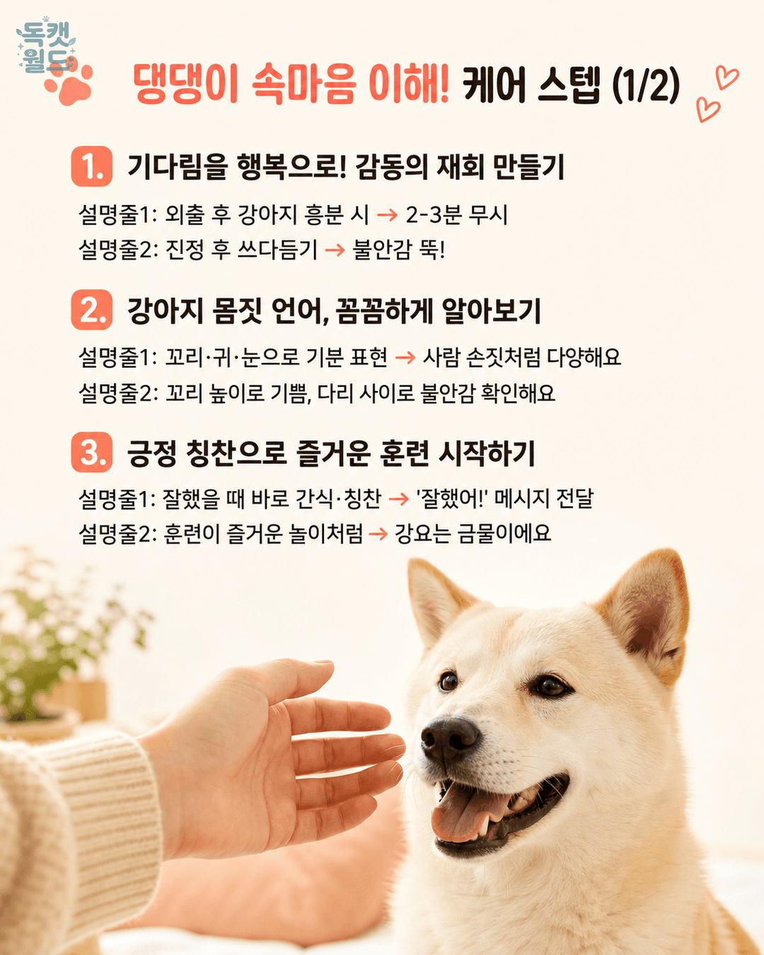 steps 1
