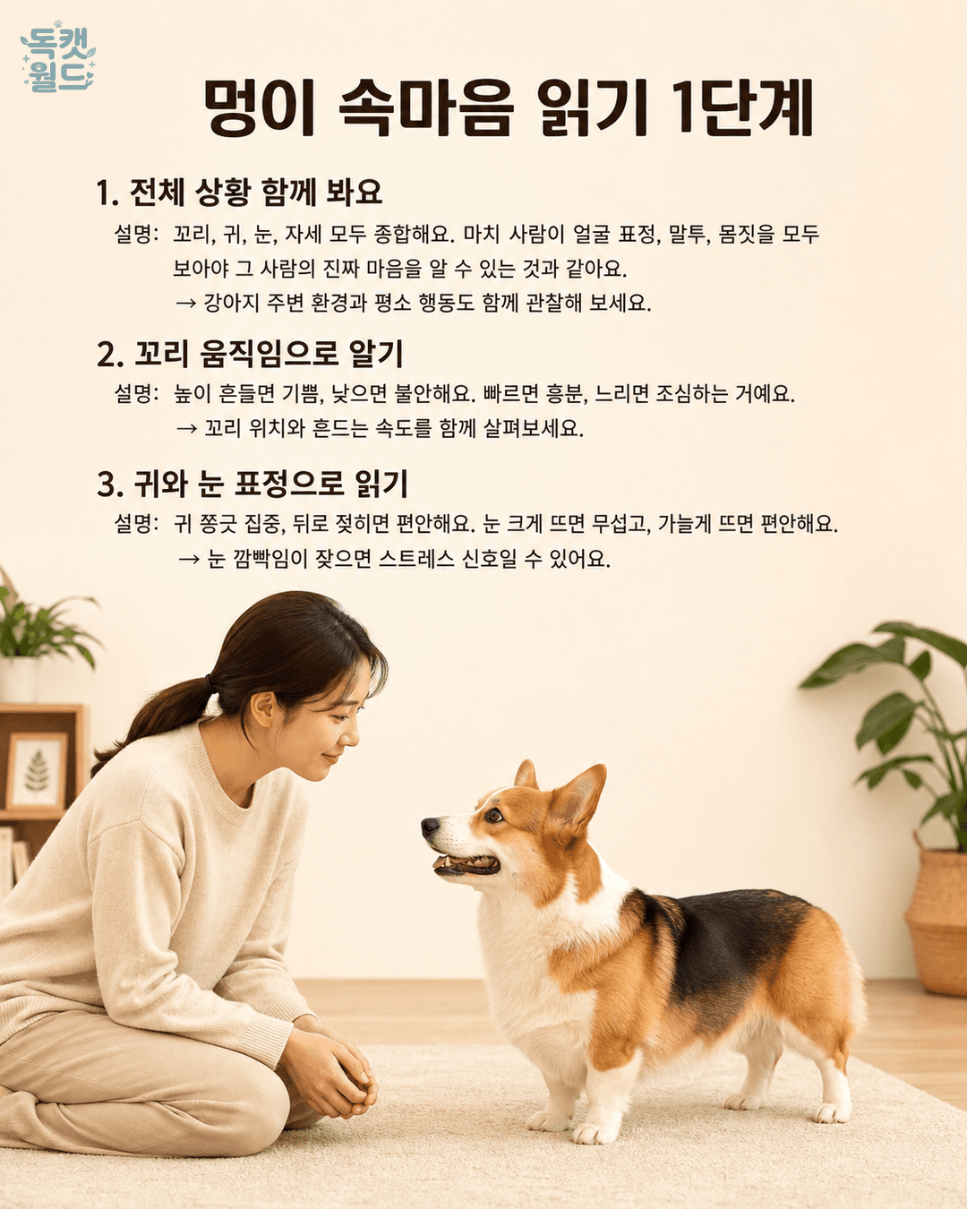 steps 1